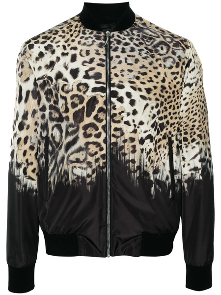 Roberto Cavalli Tiger Tooth-detailed Leopard-print Bomber Jacket - Neutrals 
