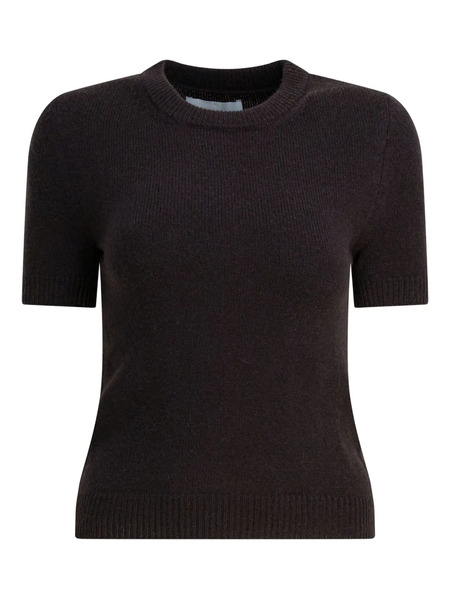  Sa Su Phi Short-sleeve T-shirt - Brown 