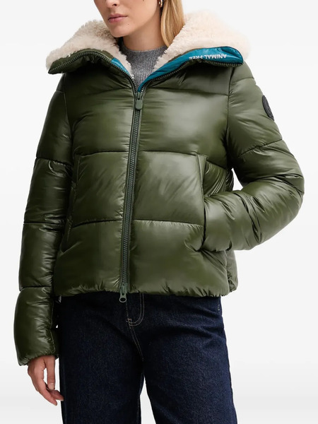  Save The Duck Padded Jacket - Green 