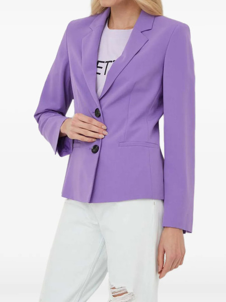 Sisley Buttoned Notched-lapel Blazer - Purple 