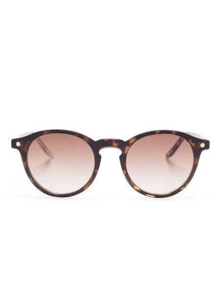  Snob Doguito Glasses - Brown 