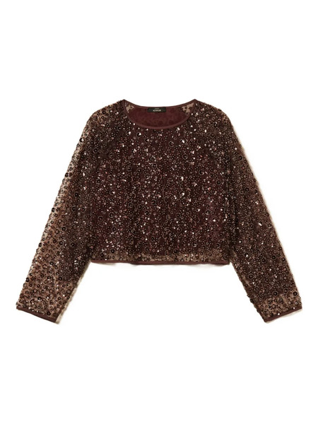  Twinset Sequin-embellished Tulle Blouse - Brown 