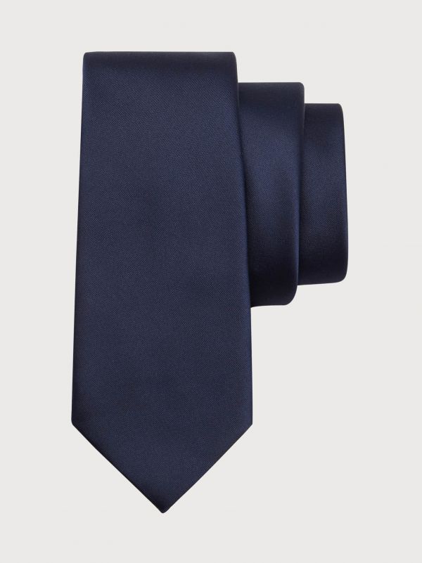  Ferragamo Men Silk Tie Blue 