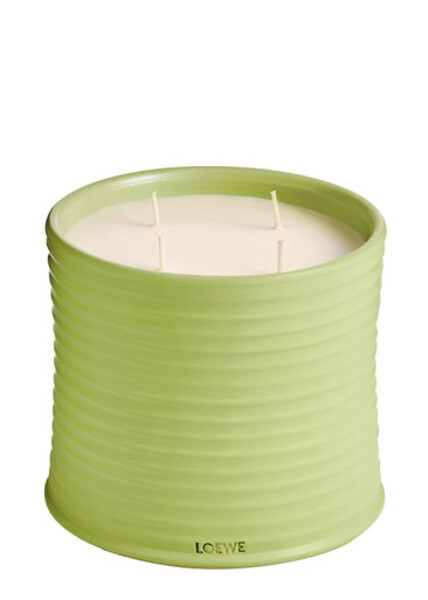  Loewe Cucumber Candle - Large 2120g, Candle, High-intensity Fragrance, Juicy Cucumber, Just-picked From The Vine, Fresh Mint Notes, Large, 2120g 