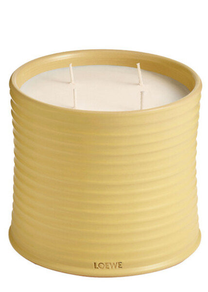  Loewe Honeysuckle Candle - Large 2120g, Candle, Low-intensity Fragrance, Floral Scent, Sweet Aroma Of This Flowering Vine, Large, 2120g 