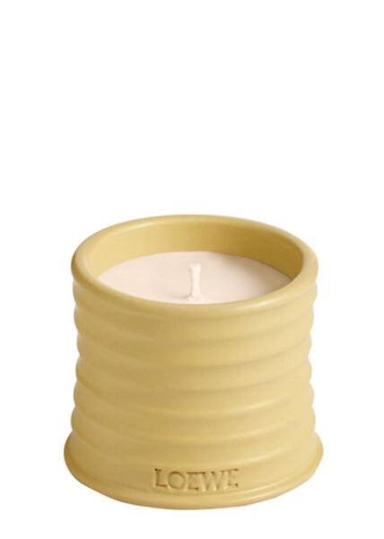  Loewe Honeysuckle Candle - Small 170g, Candle, Low-intensity Fragrance, Floral Scent, Sweet Aroma Of This Flowering Vine, Small, 170g 