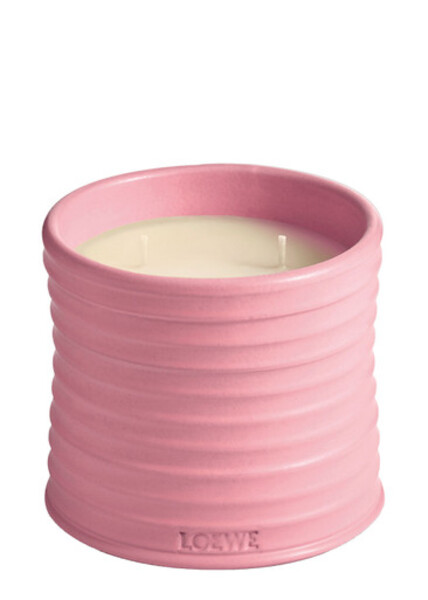  Loewe Ivy Candle - Medium 610g, Candle, Mid-intensity Fragrance, Woody Scent, Fresh, Verdant Aroma Of The Leafy, Climbing Vine, Floral Notes, Medium 
