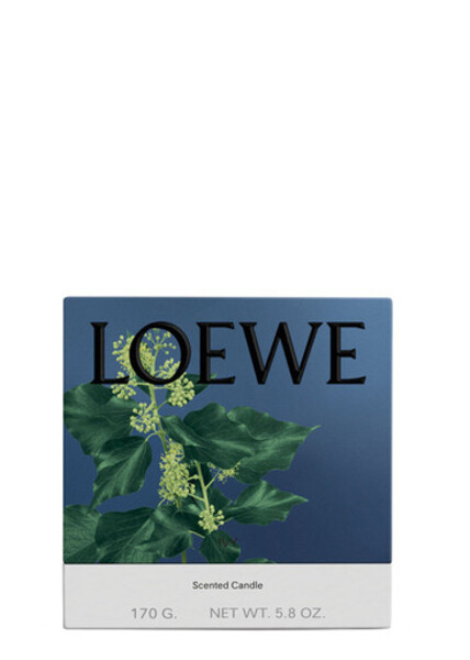  Loewe Ivy Candle - Small 170g, Candle, Mid-intensity Fragrance, Woody Scent, Fresh, Verdant Aroma Of The Leafy, Climbing Vine, Floral Notes, Small 