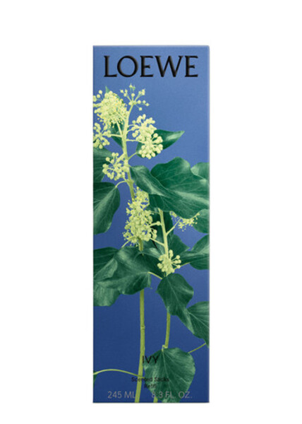  Loewe Ivy Room Diffuser Refill 245ml, Room Diffuser, Ivy Essence, Nature's Most Authentic And Pure Scents, 245ml 