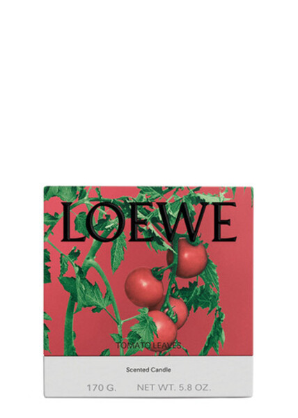  Loewe Tomato Leaves Candle - Small 170g, Candle, High-intensity Fragrance, Green Scent That Evokes The Fresh, Verdant Aroma Of The Vines 