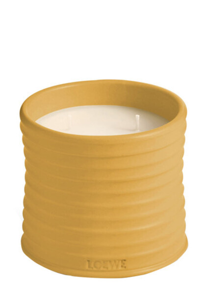  Loewe Wasabi Candle - Medium 610g 