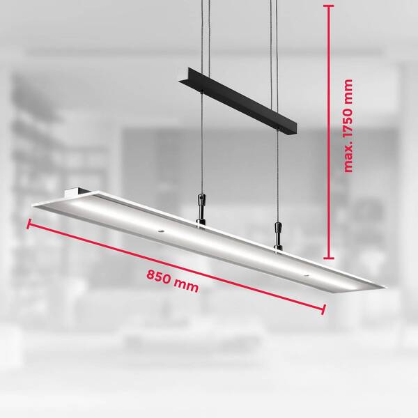  B.k. Licht B.k. Licht Led Hanging Light Tick Black, Glass, Dimmable, Height-adjustable 