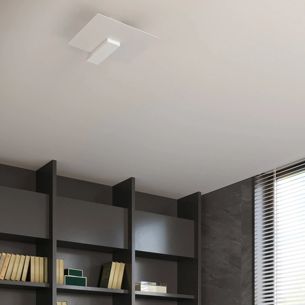  Envostar Envostar Peach Puff Ceiling Light With Glass White 