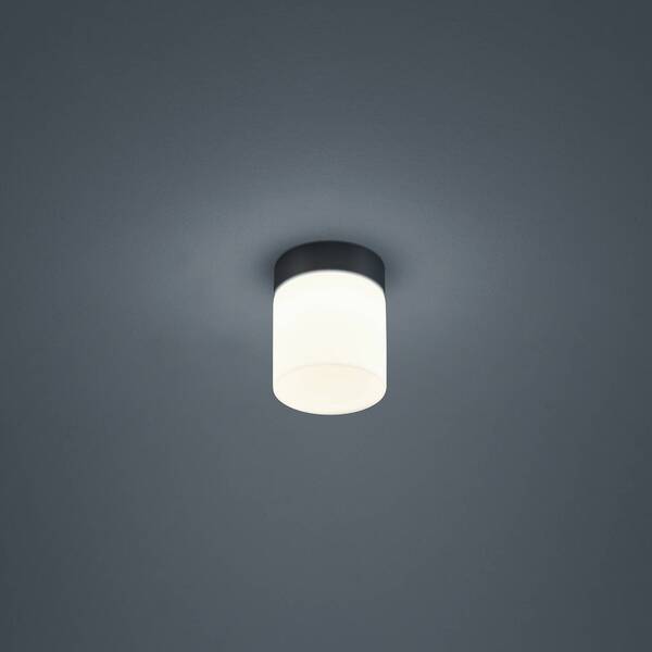  Helestra Helestra Keto Led Ceiling Light, Cylinder, Black 