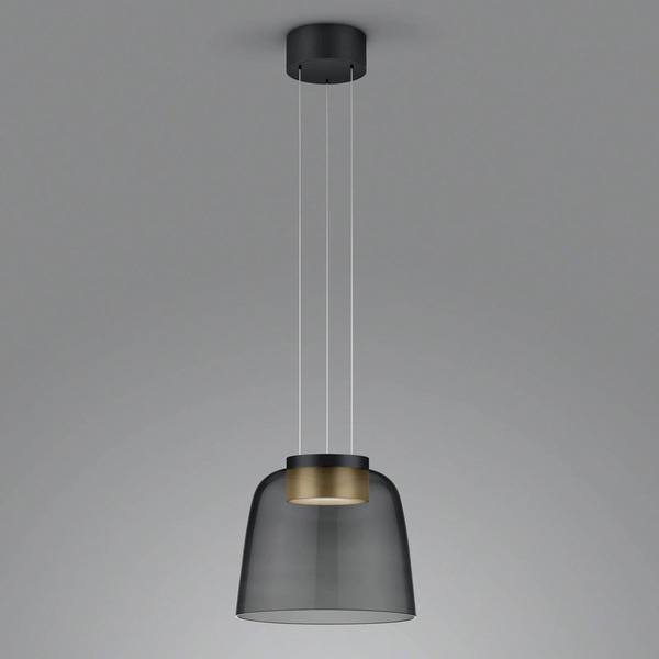  Helestra Helestra Oda Pendant Light Black/gold Glass 