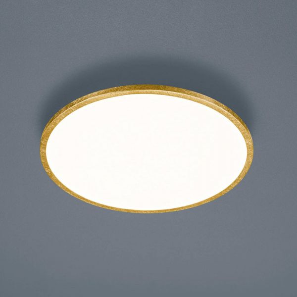  Helestra Helestra Rack Led Ceiling Lamp Dim Round Gold 