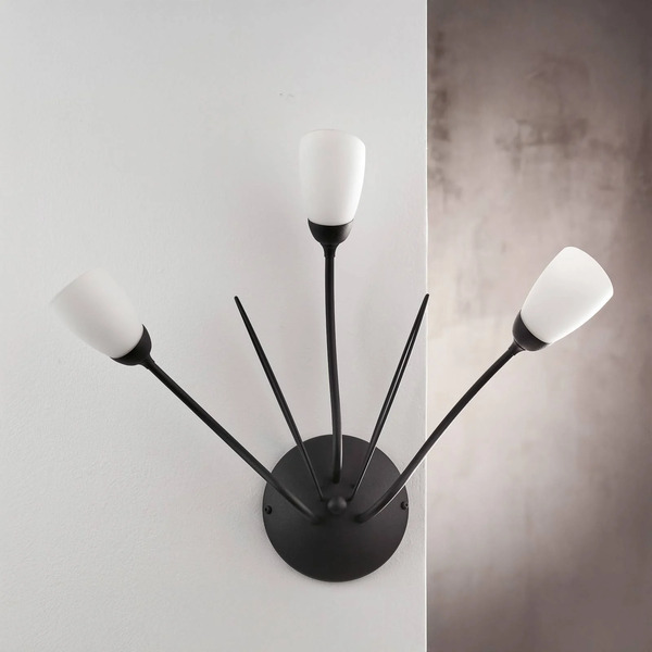 Jupiter Jupiter Gloriosa Wall Light, Black, Glass, 3-bulb 