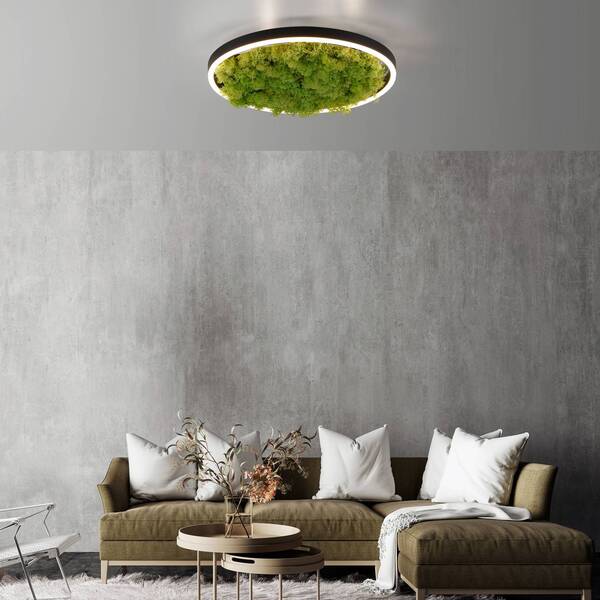  Just Light. Gmbh Just Light. Gmbh Led Ceiling Lamp Green Ritus, Moss Dimmable ø39.3cm 