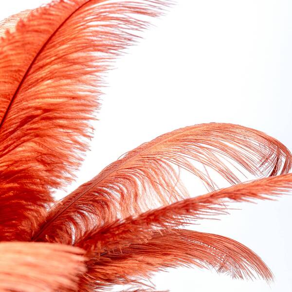  Kare Kare Feather Palm Table Lamp Feathers, Rust Red 