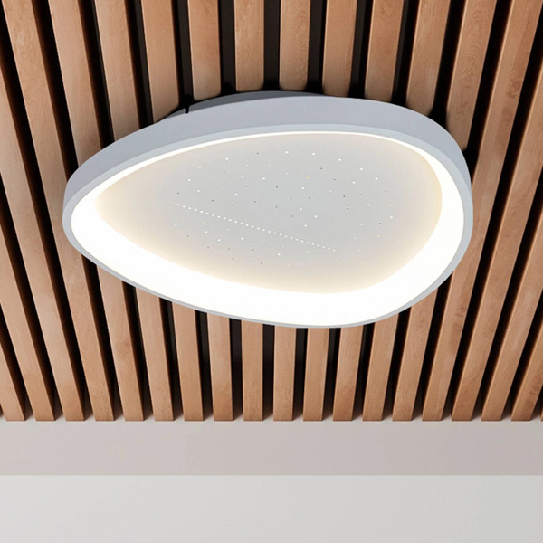  Näve Näve Argesa Led Ceiling Light, ø 60.5 Cm, White, Cct, Remote Control 