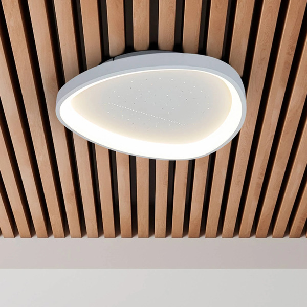  Näve Näve Argesa Led Ceiling Light, ø 42 Cm, White, Cct, Remote Control 