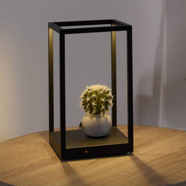  Paul Neuhaus Paul Neuhaus Conni Led Table Lamp, Black 