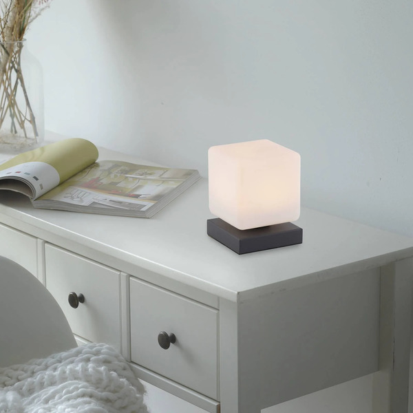  Paul Neuhaus Paul Neuhaus Led Table Lamp Dadoa, Anthracite, Glass, Dimmable 