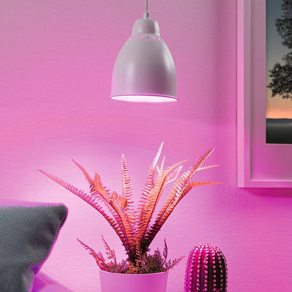  Paulmann Paulmann Neordic Hilla Pendant Light, White 