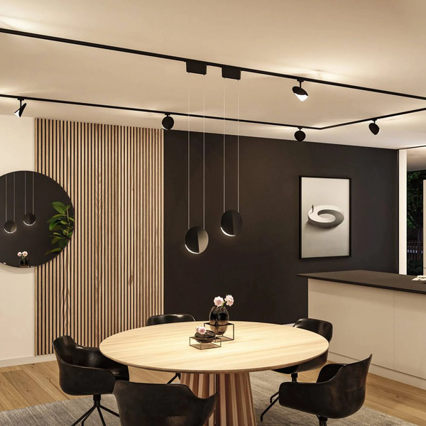  Paulmann Paulmann Urail Pendant Alejandro Black 3,000 K 3-step Dimmable 