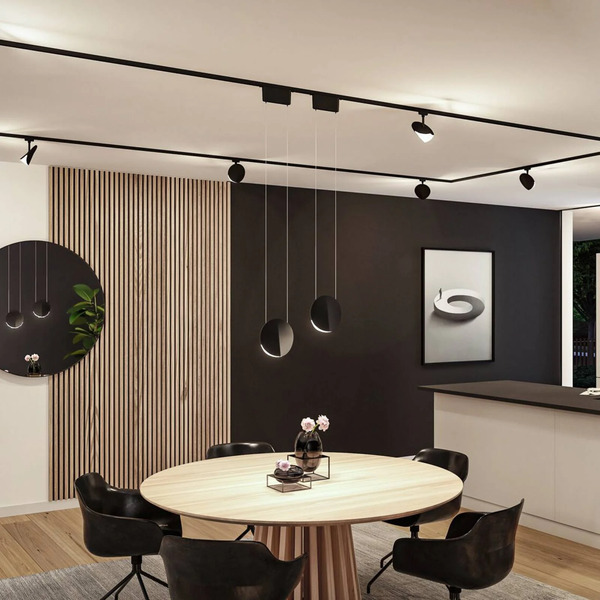  Paulmann Paulmann Urail Pendant Alejandro Black 4,000 K 3-step Dimmable 