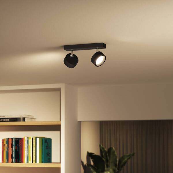  Philips Philips Bracia Led Downlight, 2-bulb, Black 