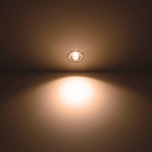  Philips Philips Dive Led Downlight Ip65 Round Silver 