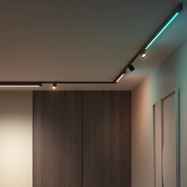  Philips Hue Philips Hue Perifo 2x Spots, Gradient Tubes Black 