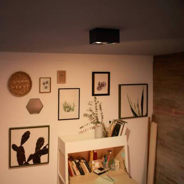  Philips Philips Myliving Box Led Spot 2-bulb Black 