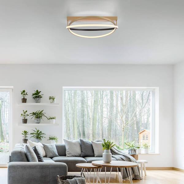  Q-smart-home Q-smart-home Paul Neuhaus Q-beluga Led Ceiling Light, Brass 