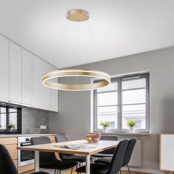  Q-smart-home Q-smart-home Paul Neuhaus Q-vito Led Pendant Light, 1 Ring 