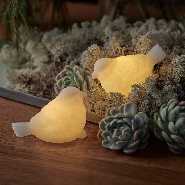  Sirius Sirius Sparrow Led Decorative Light Set Of 2 
