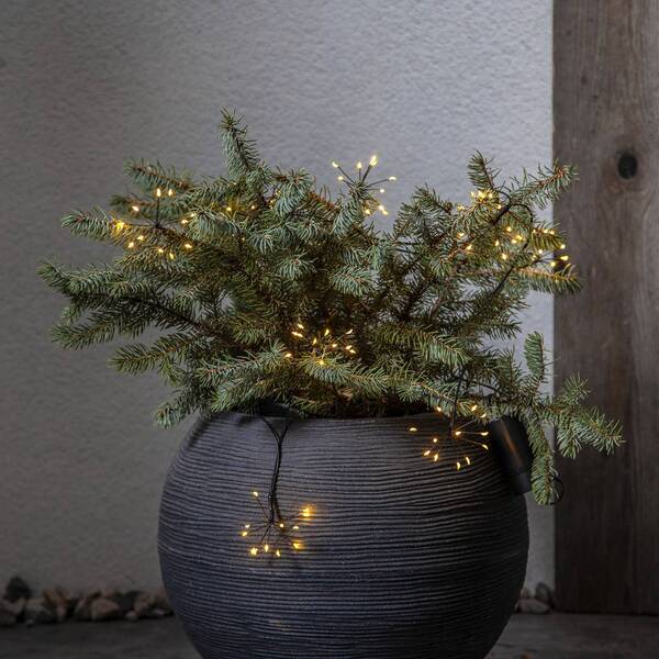  Star Trading Star Trading Dew Drops Flower Led Fairy Lights 