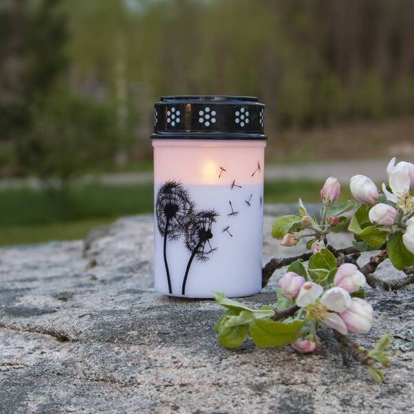 Star Trading Star Trading Led Grave Light Dandelion, 12 Cm White/black Plastic Battery 