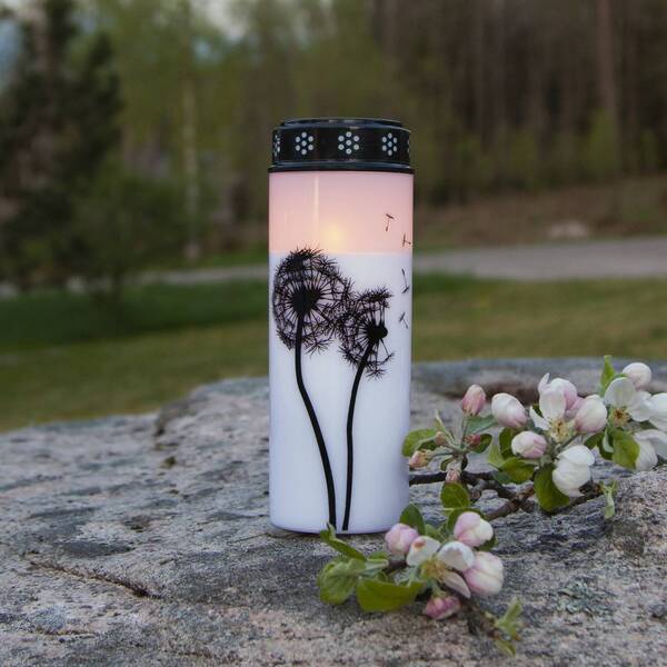  Star Trading Star Trading Led Grave Light Dandelion, 21 Cm White/black Plastic Battery 