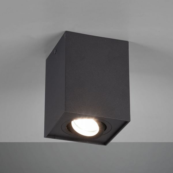  Trio Lighting Trio Lighting Biscuit Ceiling Light, One-bulb, Black 