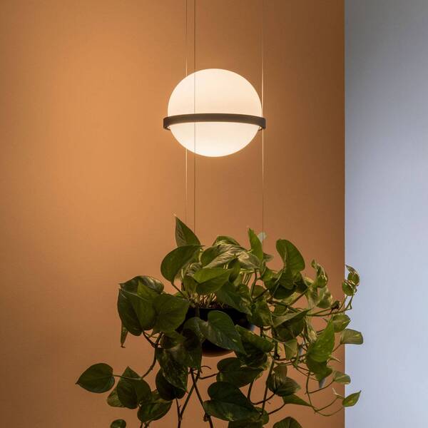  Vibia Vibia Palma 3724 Hanging Light, Plant Bowl, Graphite 