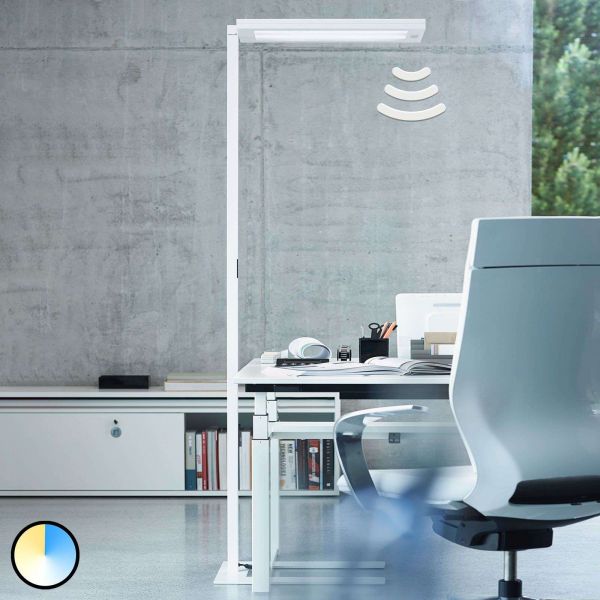 Waldmann Waldmann Lavigo Floor Lamp Dps 14000/vtl/r/g2 3000-6500k 