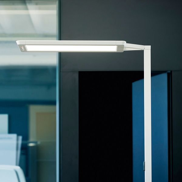  Waldmann Waldmann Yara.single Led Floor Lamp 4,000 K, Bt, Ltx Silver 
