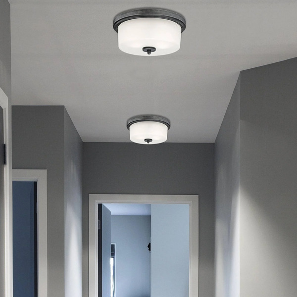  Westinghouse Westinghouse Cedrice Ceiling Light 
