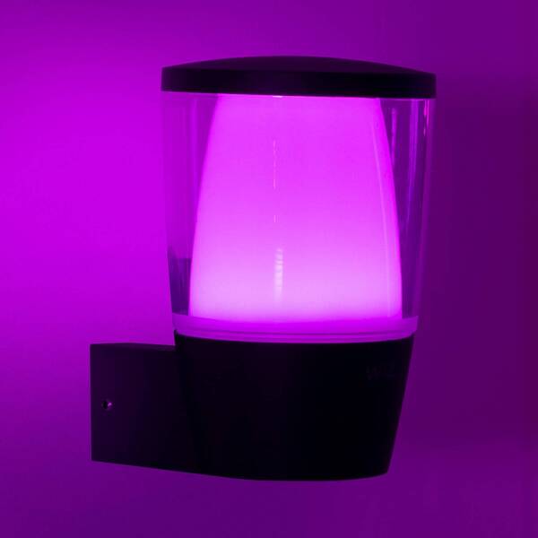  Wiz Wiz Elpas Led Outdoor Wall Light Rgbw, Black 
