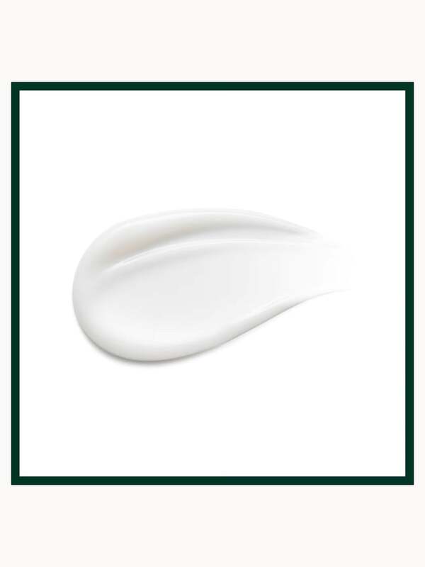  Aveda Shampure Nurturing Shampoo & Conditioner Bundle 