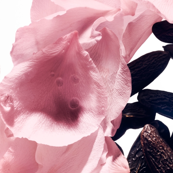  Balmain Rose De Soie Eau De Toilette 10ml 