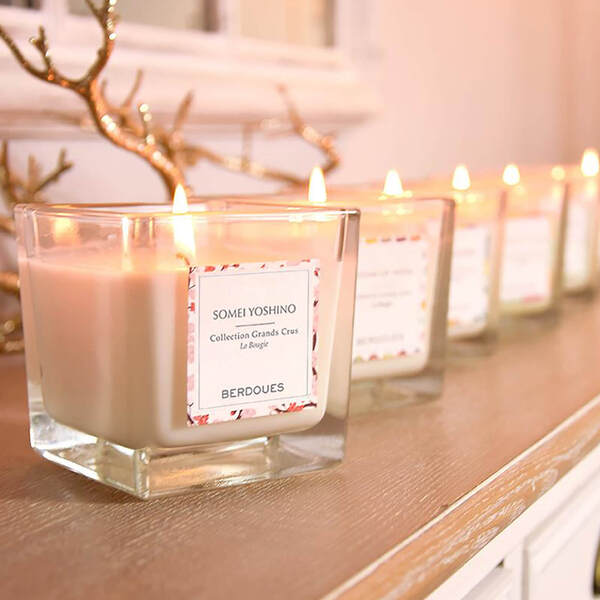  Berdoues Vanira Moorea Candle 180g 