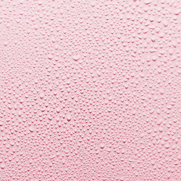  Fresh Rose Instant Hydration Mist 100ml 